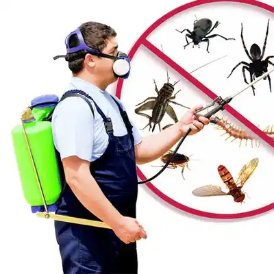 pest control Paulina